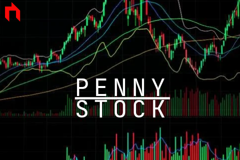 Multibagger Penny Stock Bags Orders Worth Rs 29.6 Cr, Shares Hit 5Th 52-Week High